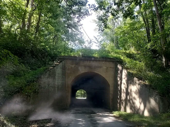 McCoys Ferry Campground 3