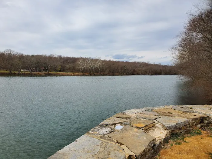 McCoys Ferry Campground 4