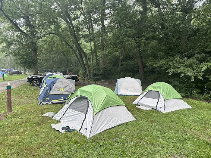 McCoys Ferry Campground 8