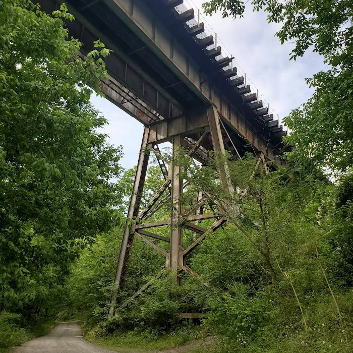 McCoys Ferry Campground 2