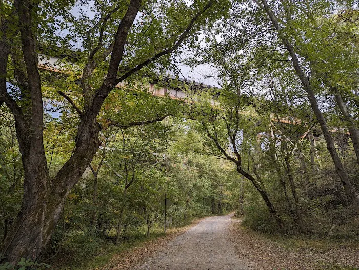 McCoys Ferry Campground 0