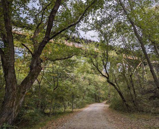 McCoys Ferry Campground