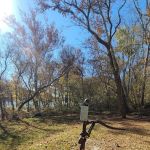 North Mountain Hiker Biker Campsite