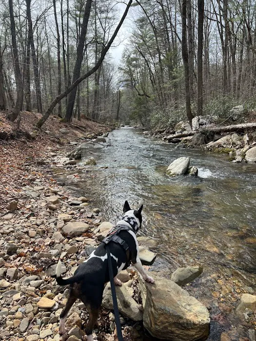 Otter Creek Campground 8