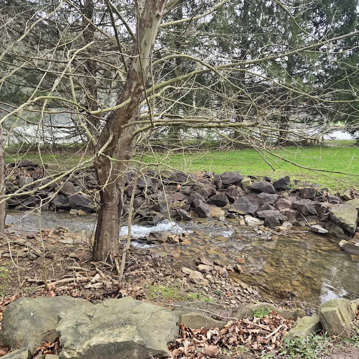 Outflow Campground 8