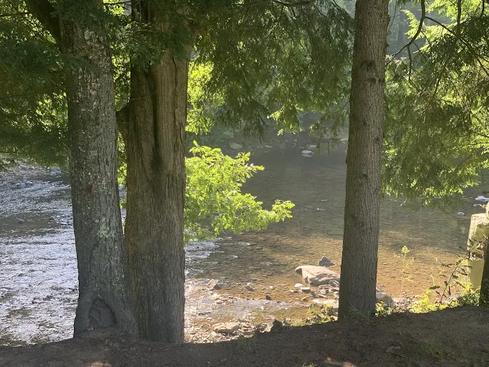 CAMP MORNING WOOD 5