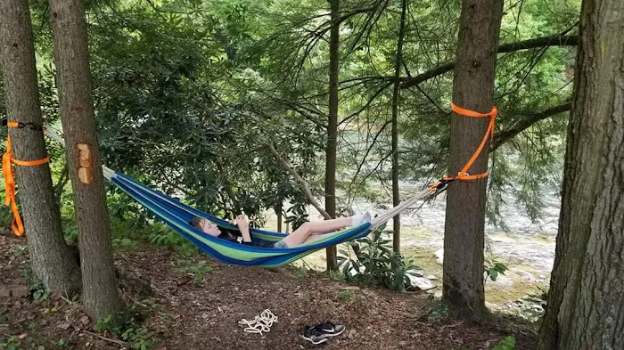 CAMP MORNING WOOD 7