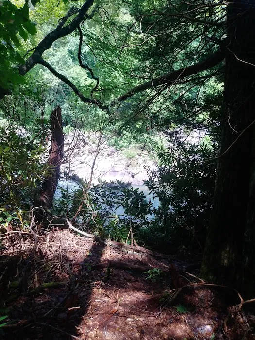 Audra State Park Campground 7