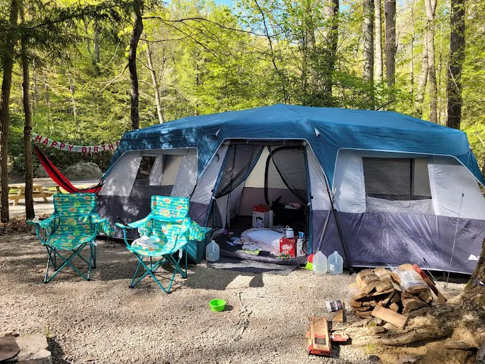 Audra State Park Campground 3