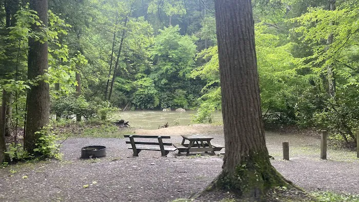 Audra State Park Campground 1