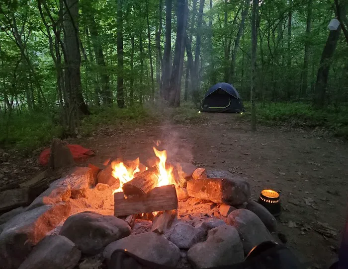 Paddler's Lane Campground 1
