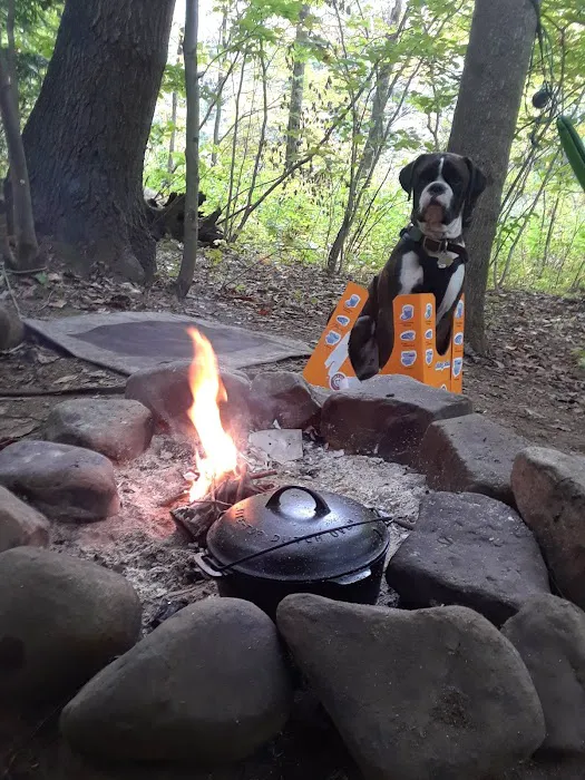 Paddler's Lane Campground 5
