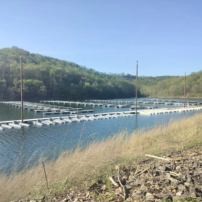 Tygart Lake State Park Campground 0
