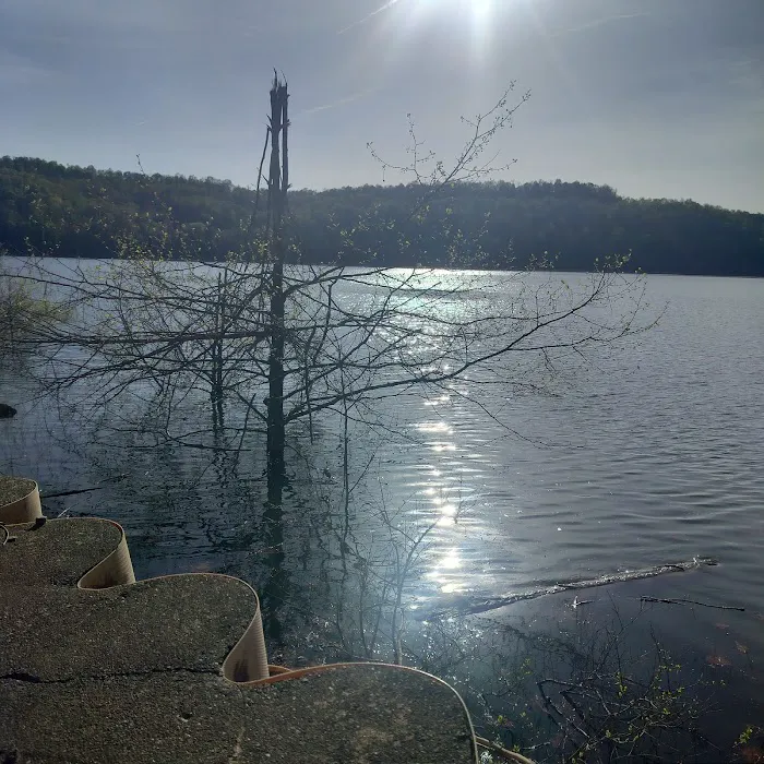 Tygart Lake State Park Campground 1