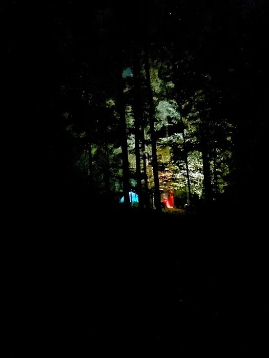 Tygart Lake State Park Campground 5