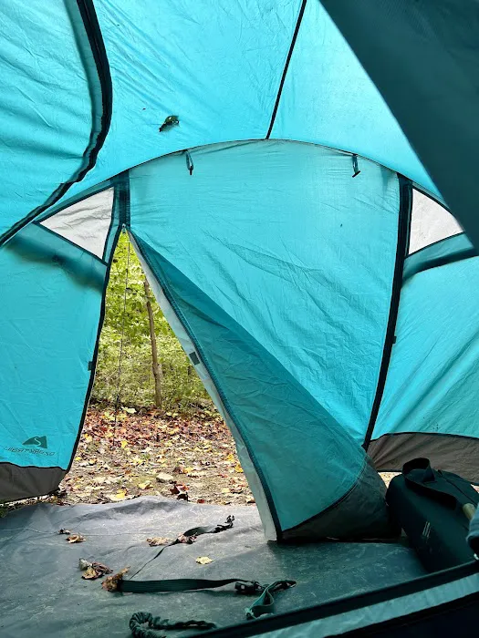 Tygart Lake State Park Campground 2