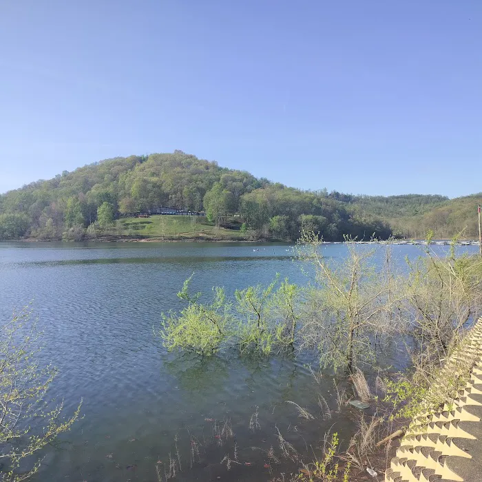 Tygart Lake State Park Campground 4