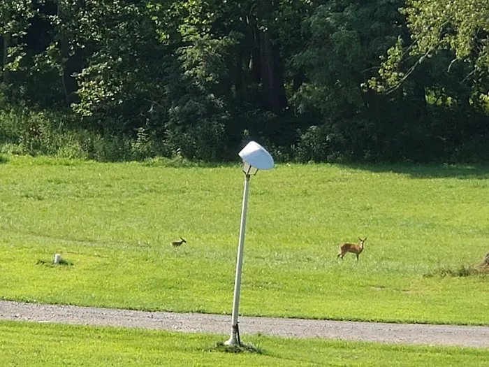 Indian Meadows Campground 2