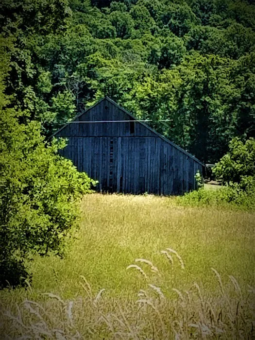 Morgantown Campground 6