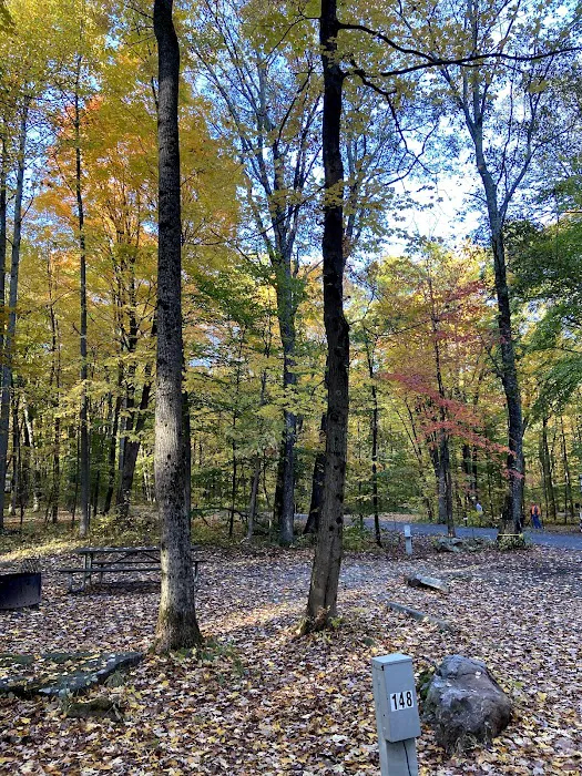 Ohiopyle State Park Kentuck Campground 5