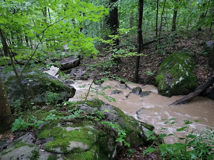 Ohiopyle State Park Kentuck Campground 1