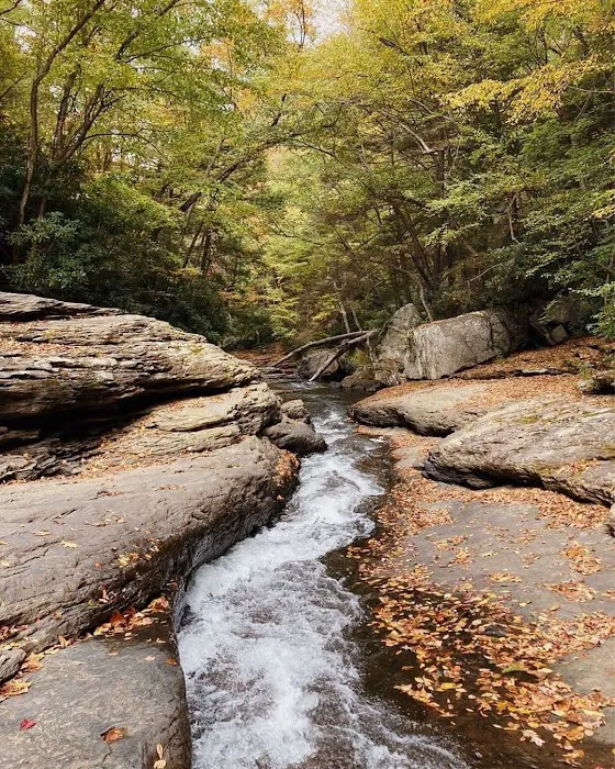 Ohiopyle State Park Kentuck Campground 7