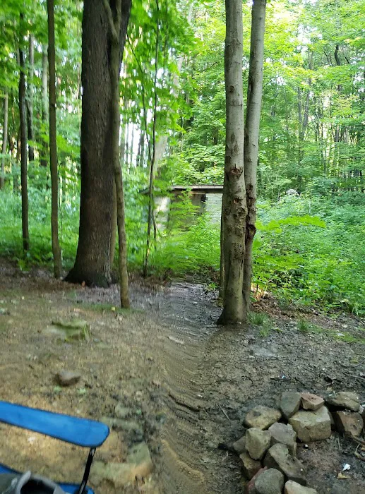 Scarlett Knob Campground Inc 3