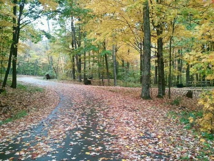 Summit Lake Campground 6