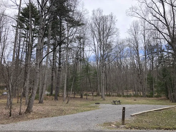 Riverside Campground 7