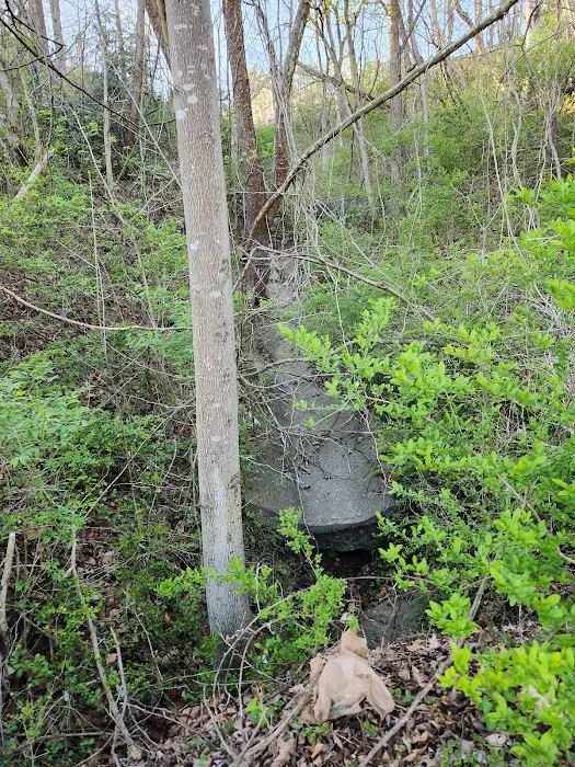 Walters Properties Campground 7