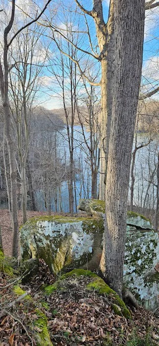 Timber Ridge Lake 7