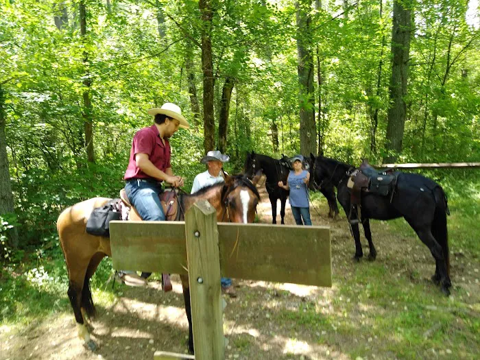 Elkins Creek Horse Camp & Tack 4