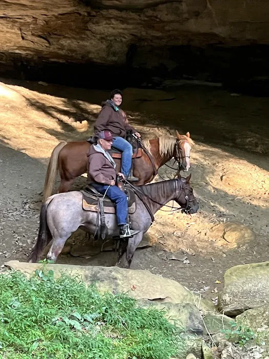 Elkins Creek Horse Camp & Tack 2