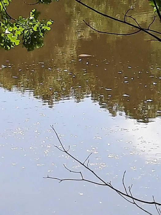 Davlin Lake 1