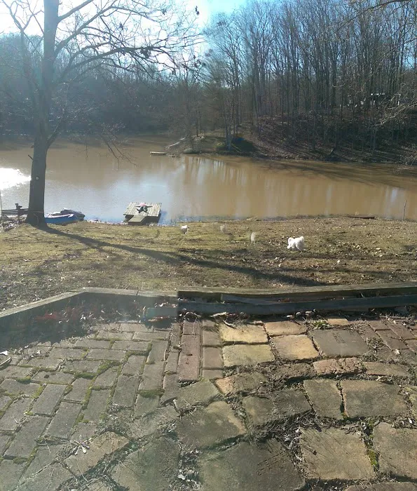 Davlin Lake 5