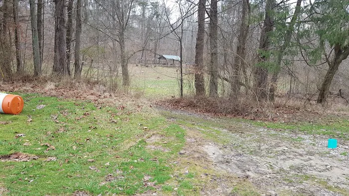 Camp Arrowhead BSA 8