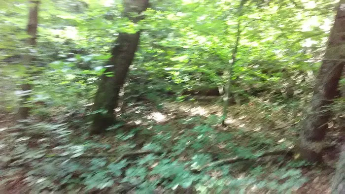 Camp Arrowhead BSA 2