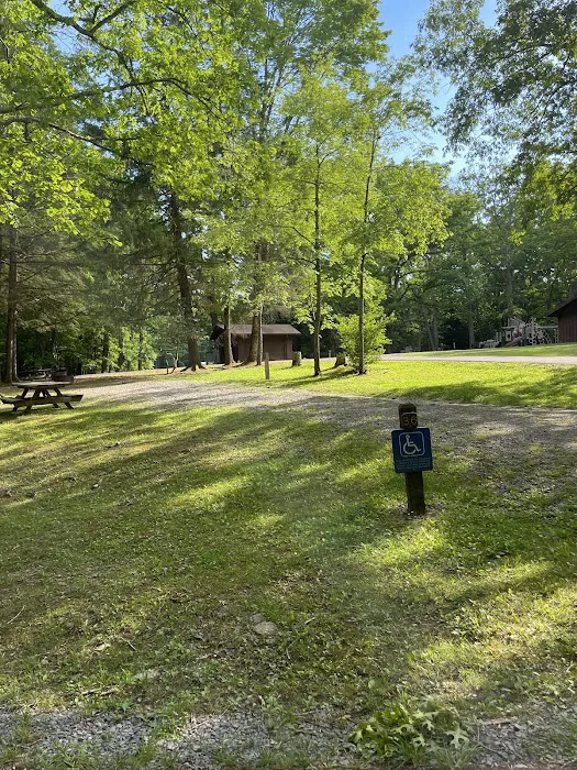 Babcock State Park Campground 4