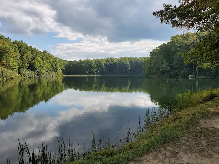 Babcock State Park Campground 8