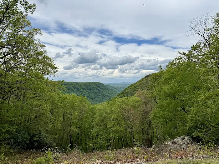 Babcock State Park Campground 9