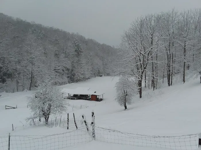 Tawney Farm, LLC 0