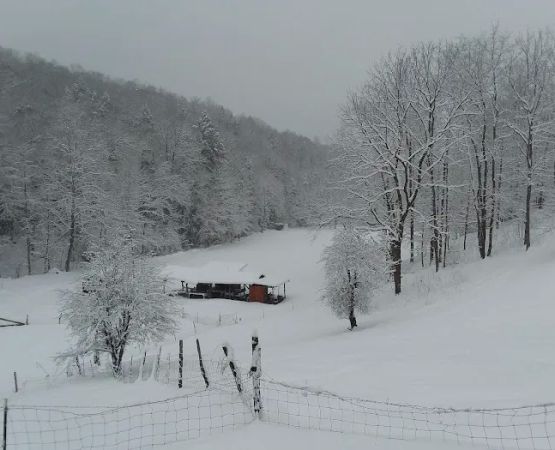 Tawney Farm, LLC