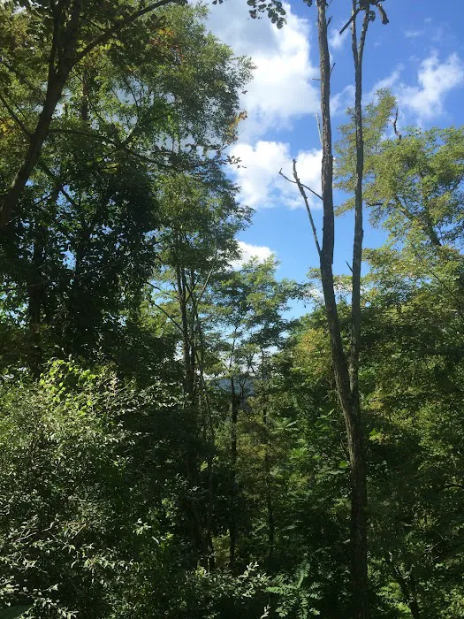 Gauley River Wild & Woolly Primitive Campground 5