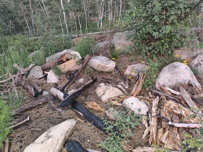 Dispersed Campsite 6 0