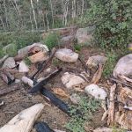 Dispersed Campsite 6