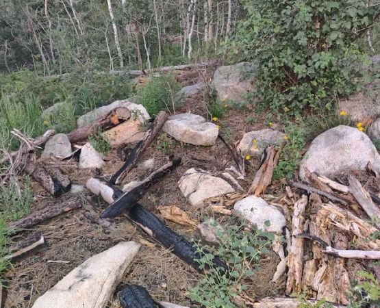 Dispersed Campsite 6
