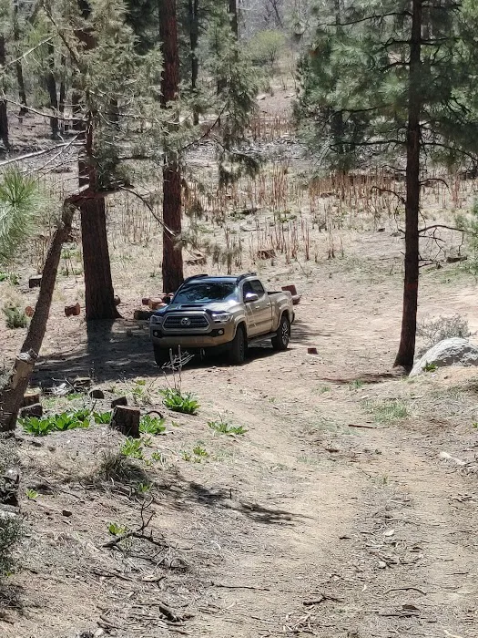 Dispersed Campsite 6 9
