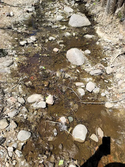 Cave Creek Group Campground 4