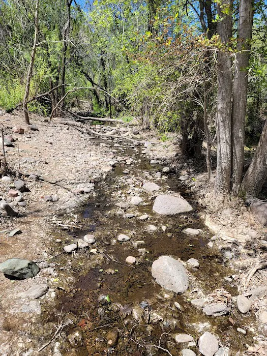 Cave Creek Group Campground 9