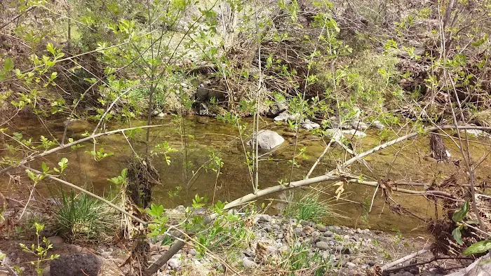 Civilian Conservation Corps Campground 6